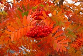 Haustþing Læknafélags Akureyrar