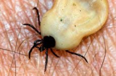 2 tbl. Læknablaðsins 2019 er komið út