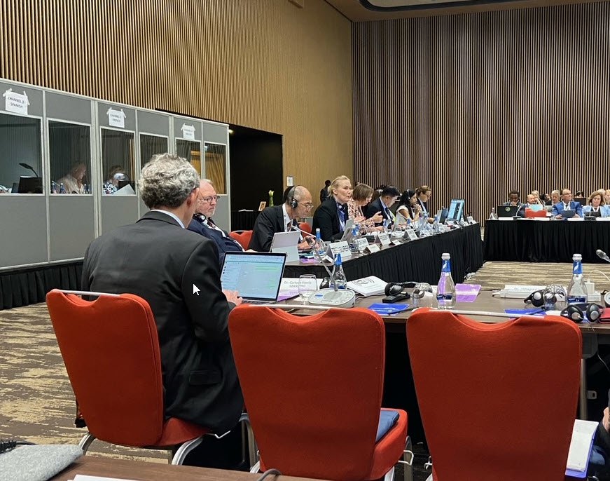 Steinunn stýrir fundi siðfræðinefndar WMA