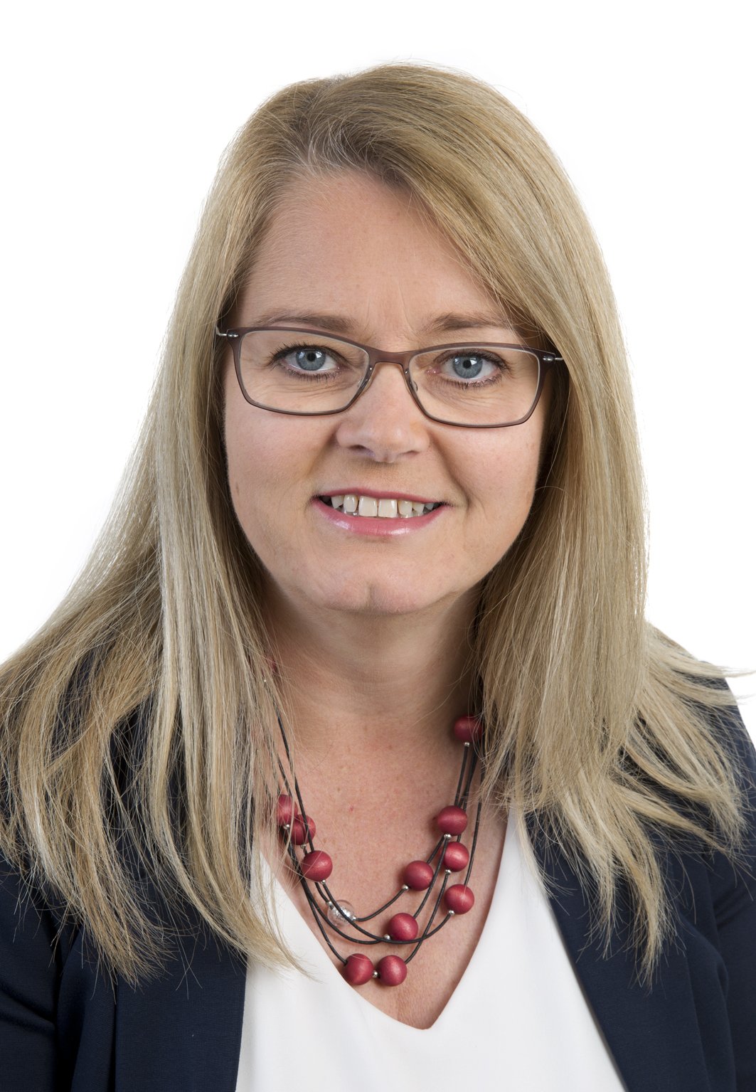 Leita 100 lækna til að þróa Mínervu