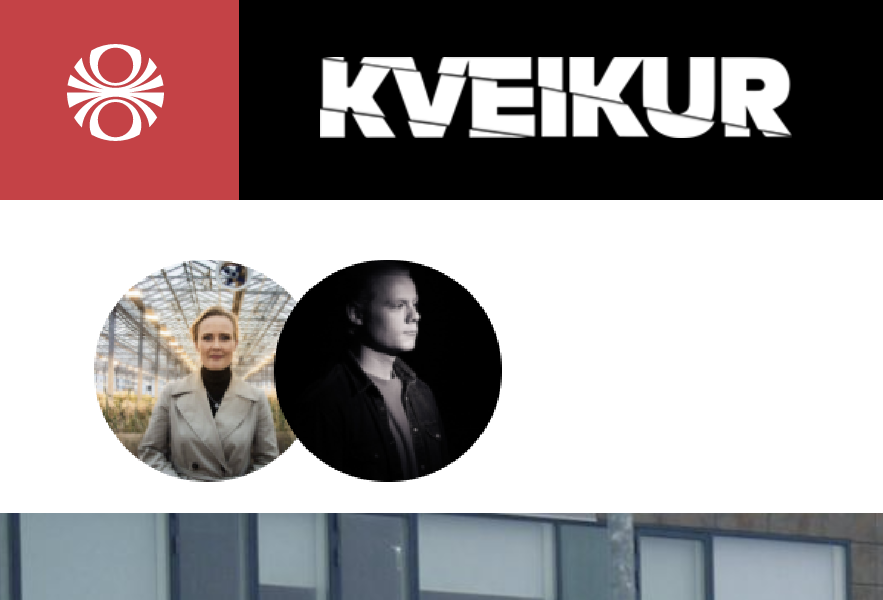 Einn rukkaði 125% meira en annar 2016 - Sjálfstætt starfandi læknar í Kveik