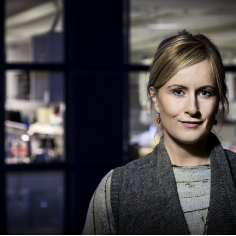 Rannsókn Unnar Önnu Valdimarsdóttur fær 150 milljónir