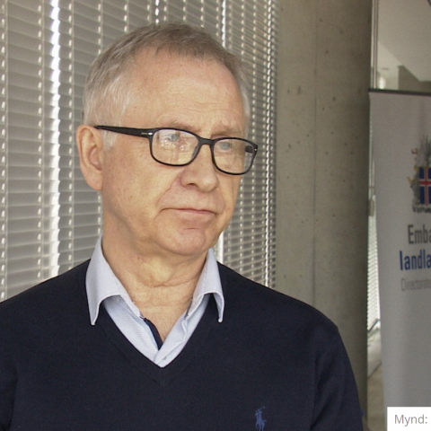 Slakað á sóttvarnaraðgerðum: Grímur til hliðar - Þórólfur á RÚV