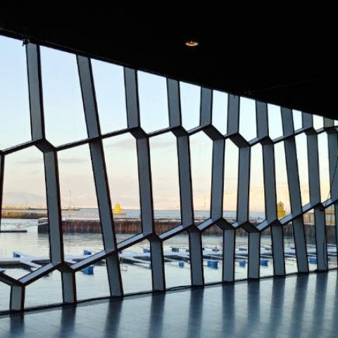 Læknadagar 21.-25. mars - skráning í fullum gangi