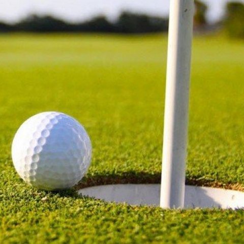 Golfsumarið mikla 2022