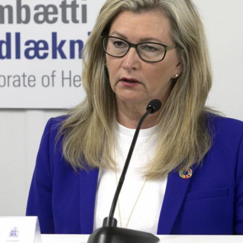 Landlæknir vonast eftir skjótum árangri - Alma D. á RÚV