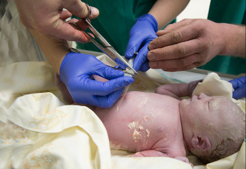 Hver tók á móti þér?