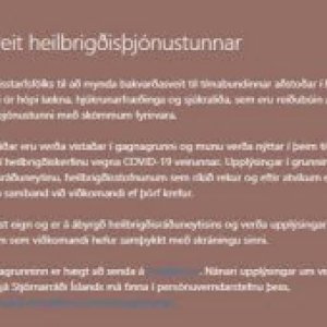 Bakvarðasveit heilbrigðisþjónustunnar