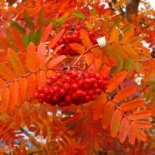 Haustþing Læknafélags Akureyrar