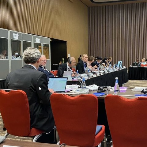 Steinunn stýrir fundi siðfræðinefndar WMA