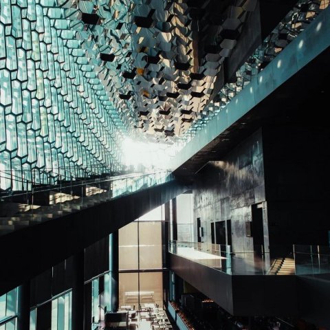 Góð næring fyrir alla - sérstaklega börn