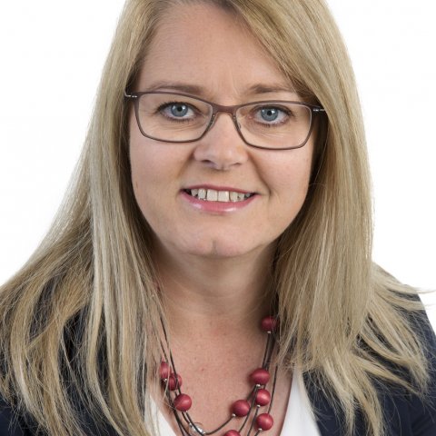 Leita 100 lækna til að þróa Mínervu