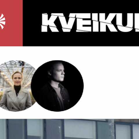 Einn rukkaði 125% meira en annar 2016 - Sjálfstætt starfandi læknar í Kveik