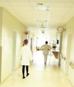 Hafna skipuriti forstjóra