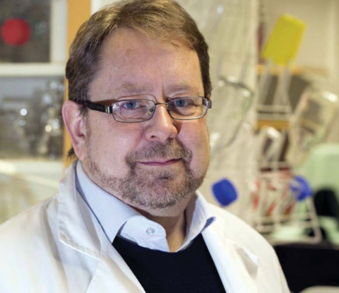 Læknafélag Íslands fagnar hundrað ára starfsafmæli