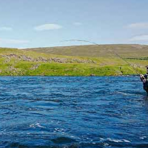 Hvað velur lífsvalinu margslungið - Sigurður í Morgunblaðinu