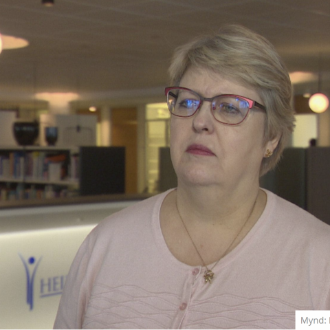 Gríðarlegt álag á heilsugæslunni - Sigríður Dóra á RÚV