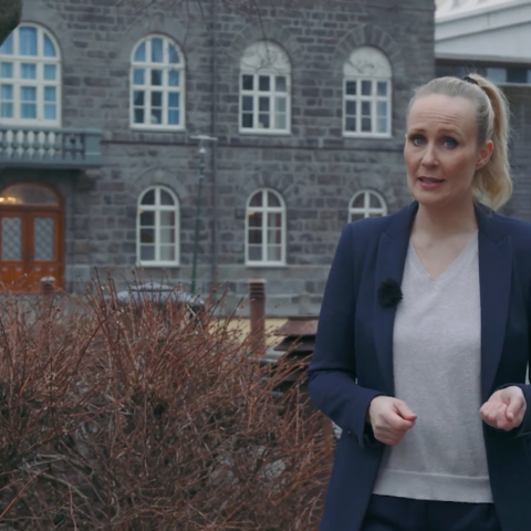 Sjálfstætt starfandi sérfræðilæknar í Kveik